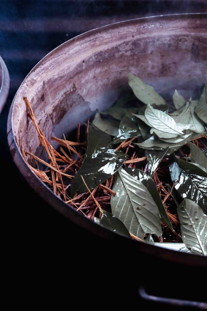 ayahuasca-brew-retreats-costa-rica-sowa-nete-plant-medicine-emotional-spiritual-physical-healing