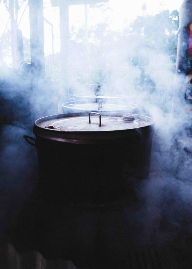 ayahuasca-cooking-ceremony-healing-transformative-spiritual-awakening-sowa-nete-retreats
